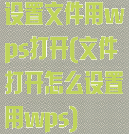 设置文件用wps打开(文件打开怎么设置用wps)