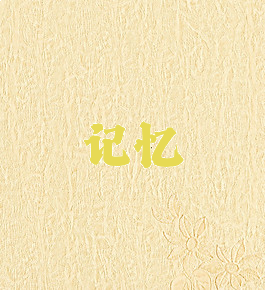 记忆