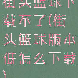 街头篮球下载不了(街头篮球版本低怎么下载)