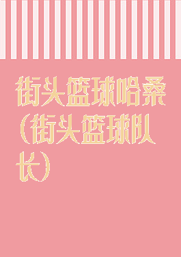 街头篮球哈桑(街头篮球队长)