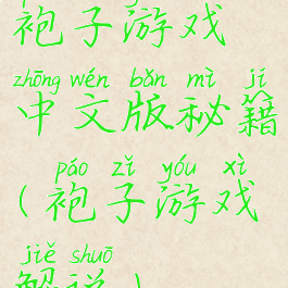 袍子游戏中文版秘籍(袍子游戏解说)