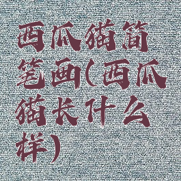 西瓜猫简笔画(西瓜猫长什么样)