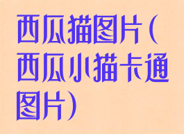 西瓜猫图片(西瓜小猫卡通图片)