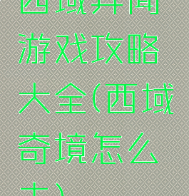 西域异闻游戏攻略大全(西域奇境怎么去)