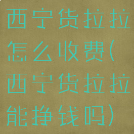 西宁货拉拉怎么收费(西宁货拉拉能挣钱吗)