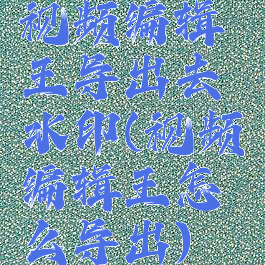 视频编辑王导出去水印(视频编辑王怎么导出)