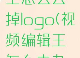 视频编辑王怎么去掉logo(视频编辑王怎么去杂音)