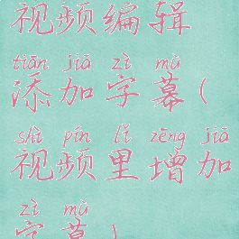 视频编辑添加字幕(视频里增加字幕)