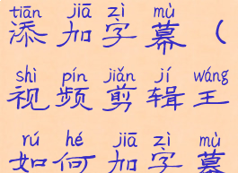 视频剪辑王添加字幕(视频剪辑王如何加字幕)