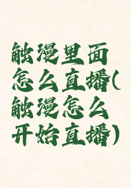 触漫里面怎么直播(触漫怎么开始直播)