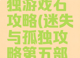 迷失与孤独游戏石攻略(迷失与孤独攻略第五部分)