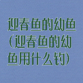 迎春鱼的幼鱼(迎春鱼的幼鱼用什么钓)
