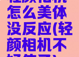 轻颜相机怎么美体没反应(轻颜相机不好使了)