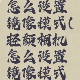 轻颜相机怎么设置镜像模式(轻颜相机怎么设置镜像模式视频)