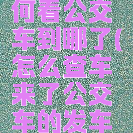 车来了如何看公交车到哪了(怎么查车来了公交车的发车时间)