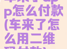 车来了app怎么付款(车来了怎么用二维码付款)