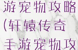 轩辕传奇手游宠物攻略(轩辕传奇手游宠物攻略图)