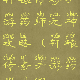 轩辕传奇手游药师元神攻略(轩辕传奇手游药师技能)