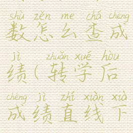 转学后好分数怎么查成绩(转学后成绩直线下降)