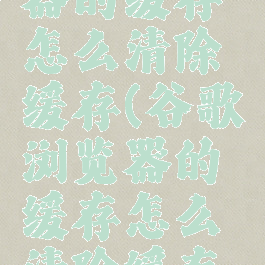 谷歌浏览器的缓存怎么清除缓存(谷歌浏览器的缓存怎么清除缓存数据)