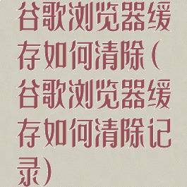 谷歌浏览器缓存如何清除(谷歌浏览器缓存如何清除记录)