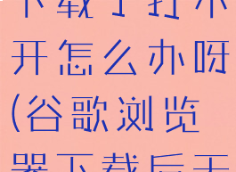 谷歌浏览器下载了打不开怎么办呀(谷歌浏览器下载后无法打开)