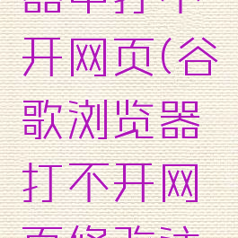 谷歌浏览器中打不开网页(谷歌浏览器打不开网页修改注册表)