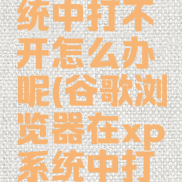 谷歌浏览器在xp系统中打不开怎么办呢(谷歌浏览器在xp系统中打不开怎么办呢苹果)