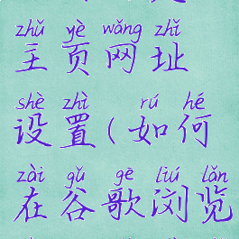 谷歌浏览器如何自定义主页网址设置(如何在谷歌浏览器中设置主页)