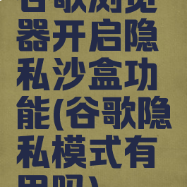 谷歌浏览器开启隐私沙盒功能(谷歌隐私模式有用吗)