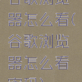 谷歌浏览器怎么看(谷歌浏览器怎么看密码)