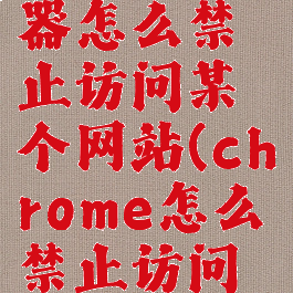 谷歌浏览器怎么禁止访问某个网站(chrome怎么禁止访问一个网站)