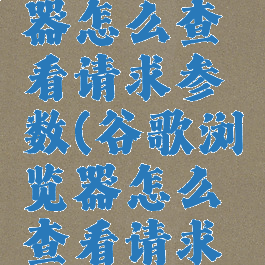 谷歌浏览器怎么查看请求参数(谷歌浏览器怎么查看请求参数)