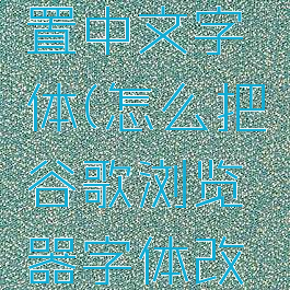谷歌浏览器怎么设置中文字体(怎么把谷歌浏览器字体改为中文简体)