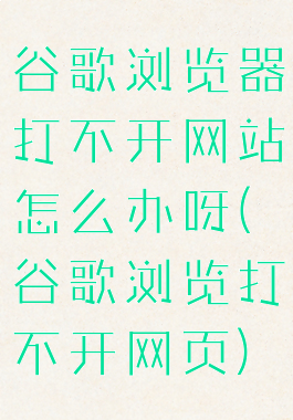 谷歌浏览器打不开网站怎么办呀(谷歌浏览打不开网页)