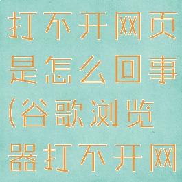 谷歌浏览器打不开网页是怎么回事(谷歌浏览器打不开网页了)
