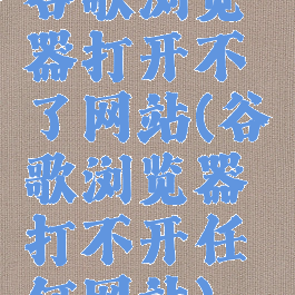 谷歌浏览器打开不了网站(谷歌浏览器打不开任何网站)