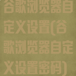 谷歌浏览器自定义设置(谷歌浏览器自定义设置密码)
