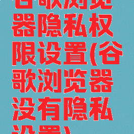 谷歌浏览器隐私权限设置(谷歌浏览器没有隐私设置)