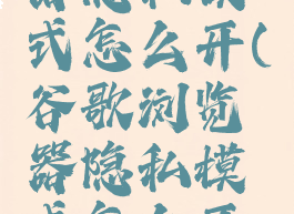 谷歌浏览器隐私模式怎么开(谷歌浏览器隐私模式怎么开启)