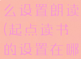 起点读书怎么设置朗读(起点读书的设置在哪)