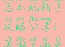 赤潮手游怎么玩新手攻略分享(赤潮在哪里)