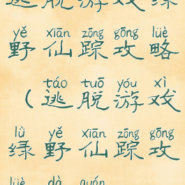 逃脱游戏绿野仙踪攻略(逃脱游戏绿野仙踪攻略大全)