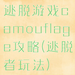 逃脱游戏camouflage攻略(逃脱者玩法)