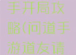 道友请留步手游新手开局攻略(问道手游道友请留步怎么玩)