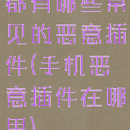 都有哪些常见的恶意插件(手机恶意插件在哪里)