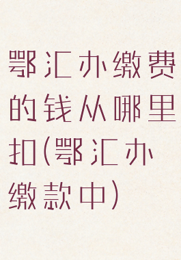 鄂汇办缴费的钱从哪里扣(鄂汇办缴款中)