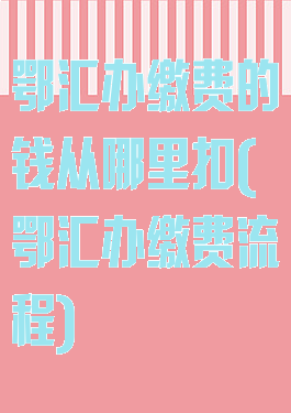 鄂汇办缴费的钱从哪里扣(鄂汇办缴费流程)