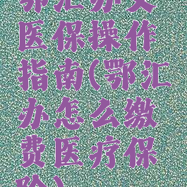 鄂汇办交医保操作指南(鄂汇办怎么缴费医疗保险)