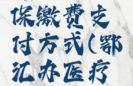 鄂汇办医保缴费支付方式(鄂汇办医疗保险)